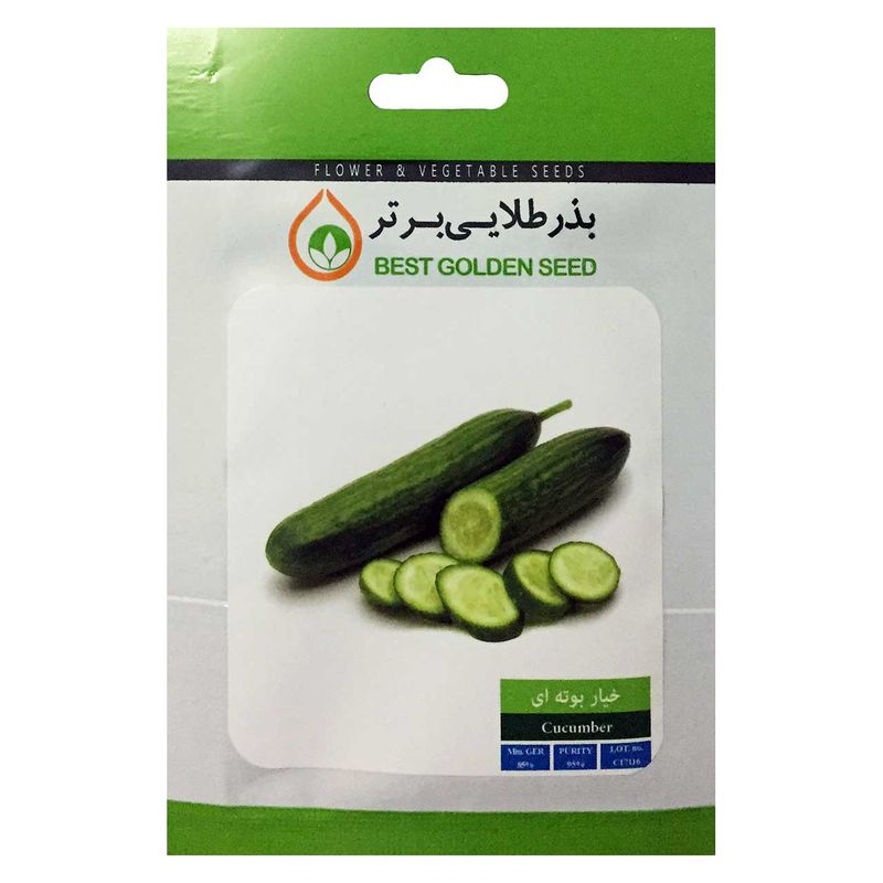 بذر خیار بوته ای بذر طلایی برتر کد bzt 53