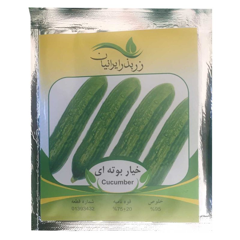 بذر خیار بوته ای زر بذر ایرانیان کد zbp 22