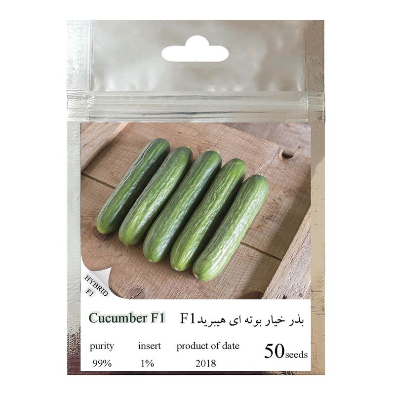 بذر خیار بوته ای هیبرید کد 111