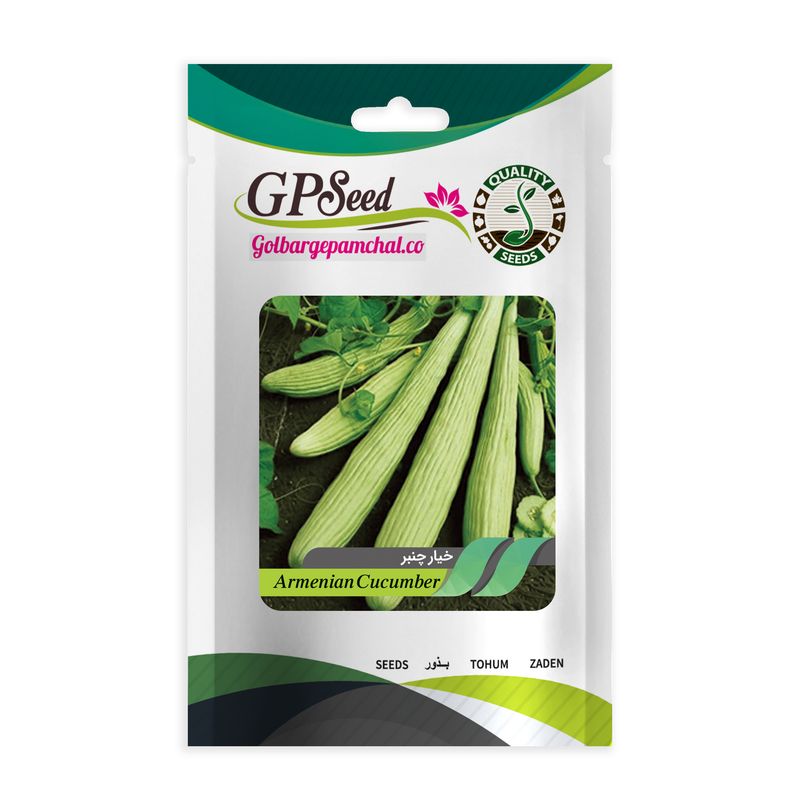بذر خیار چنبر جی پی سید مدل gp1914