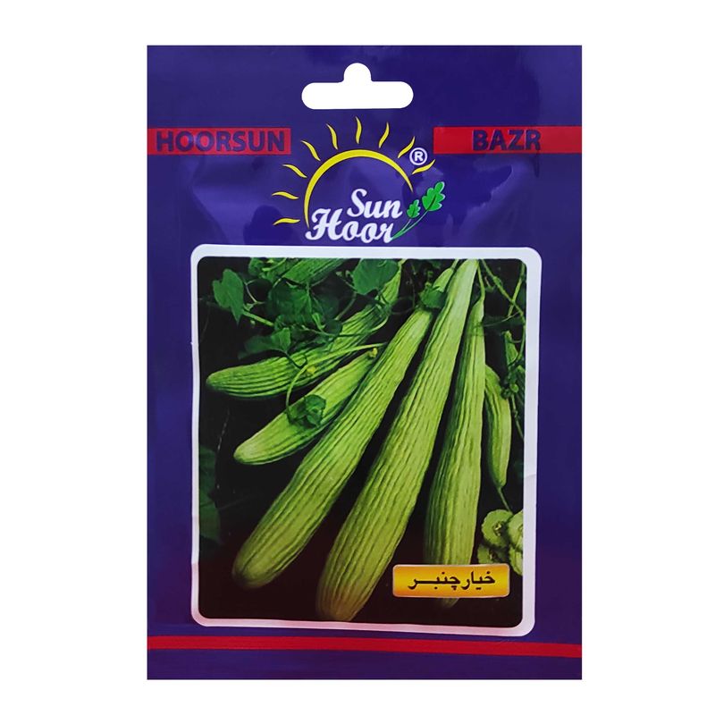 بذر خیار چنبر هورسان کد hsn 02