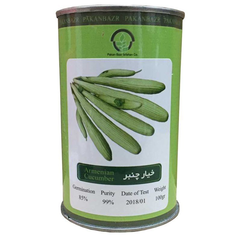بذر خیار چنبر پاکان بذر مدل pb100g 04