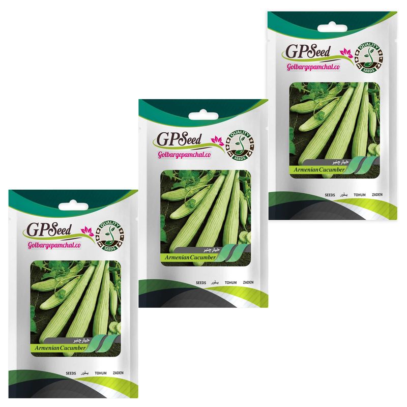 بذر خیار چنبر گلبرگ پامچال کد gpf 114 مجموعه 3 عددی