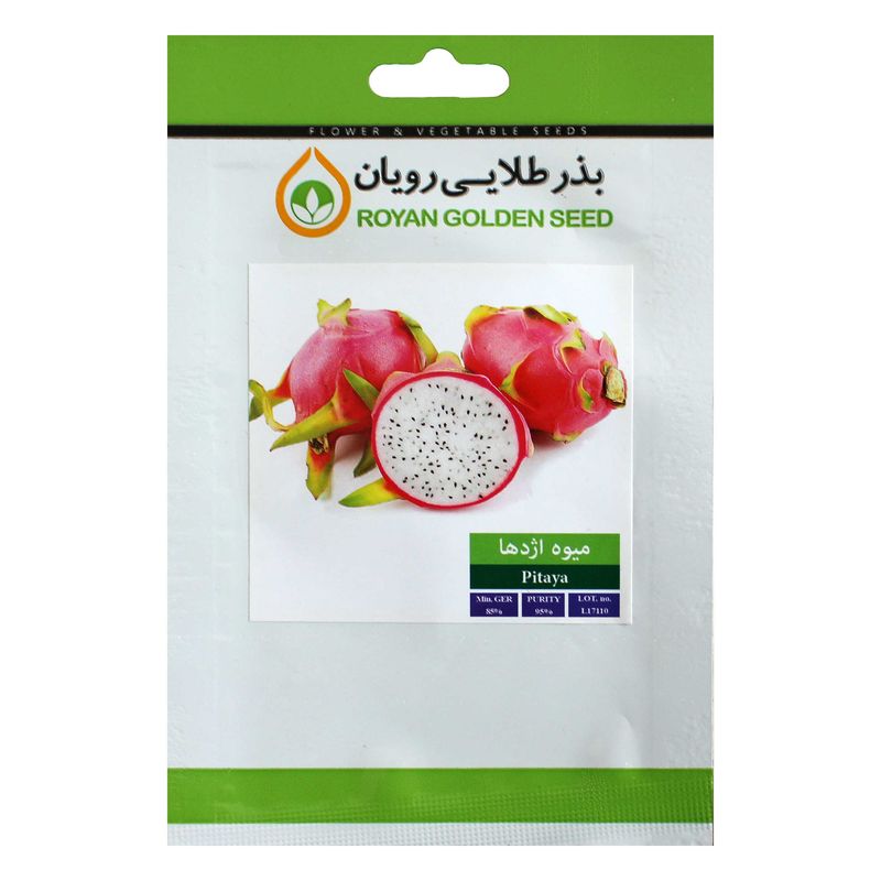 بذر دراگون فروت بذر طلایی رویان کد bzt 132