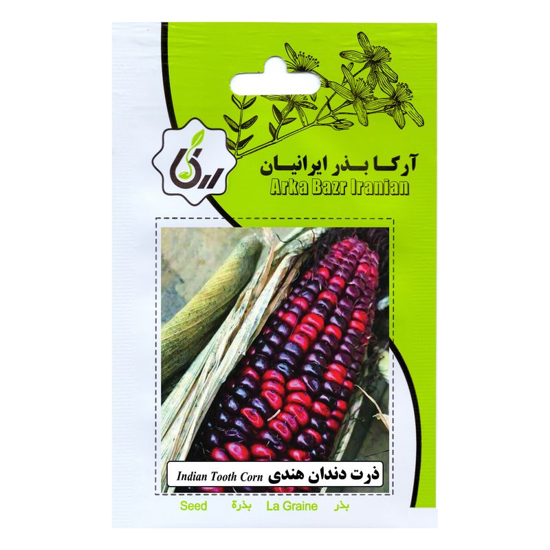 بذر ذرت دندان هندی آرکا بذر ایرانیان کد ark 132