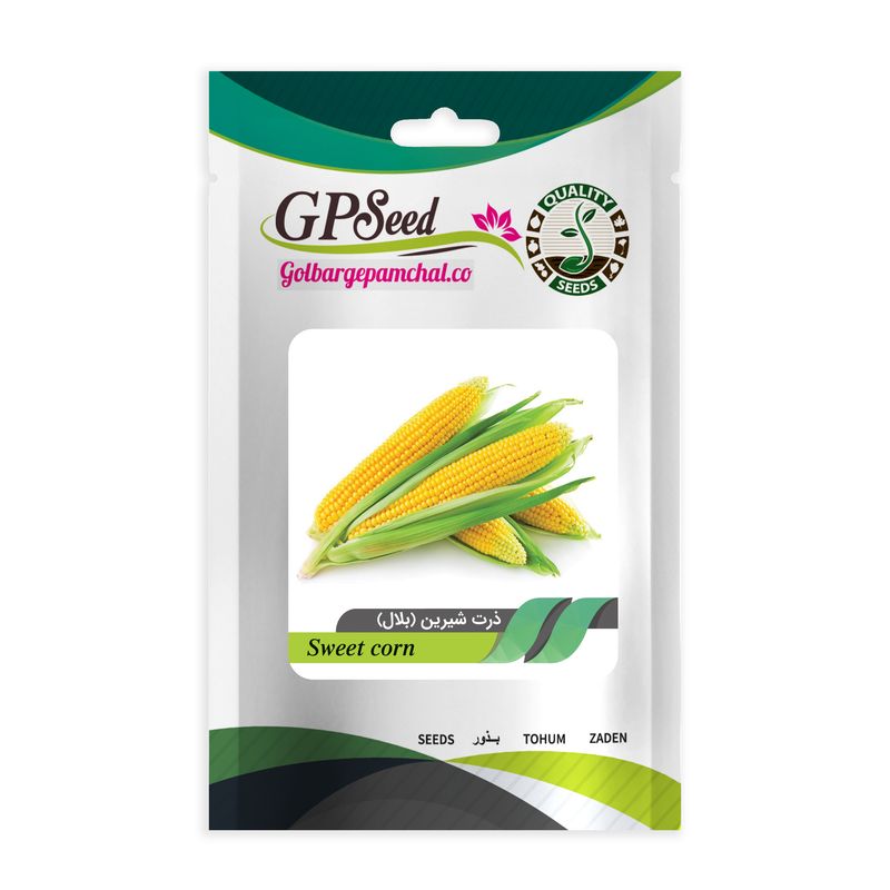 بذر ذرت شیرین گلبرگ پامچال کد gpf 117