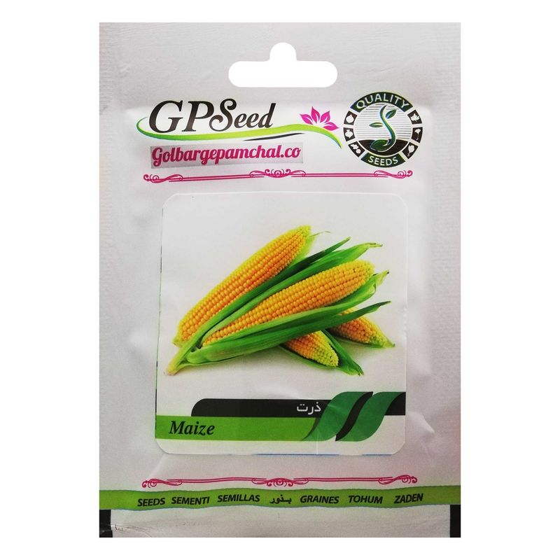 بذر ذرت گلبرگ پامچال کد gpf 117