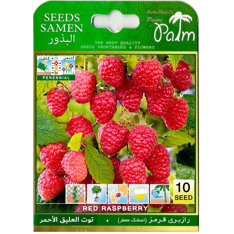 بذر رازبری قرمز پالم کد 10