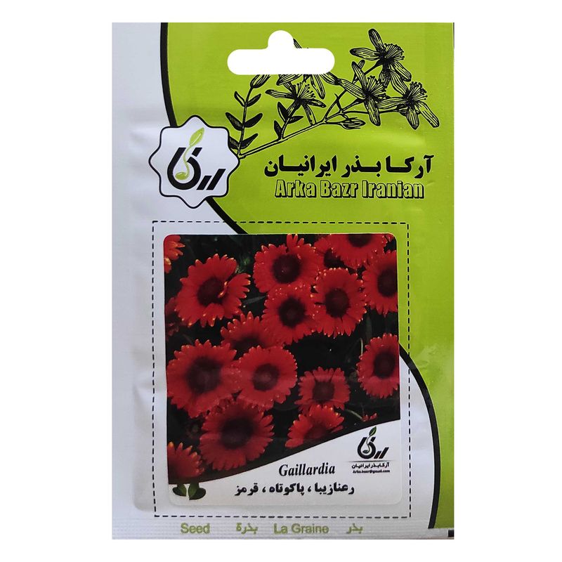 بذر رعنا زیبا پاکوتاه قرمز آرکا بذر ایرانیان کد ark 022
