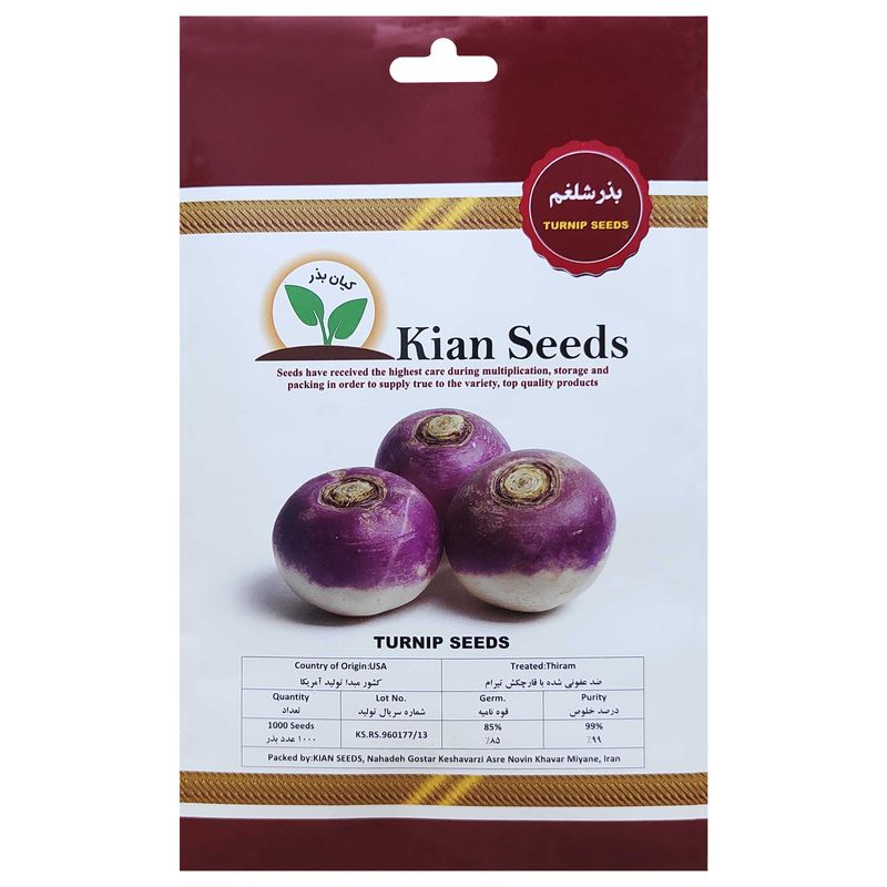 بذر شلغم کیان بذر کد kbz 27
