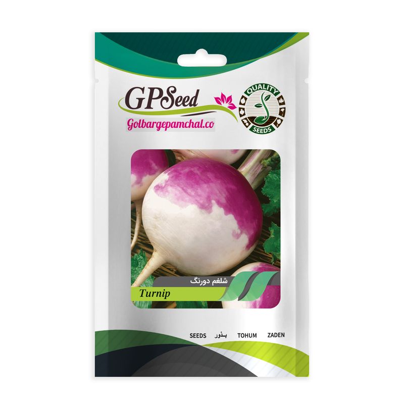 بذر شلغم گلبرگ پامچال کد gpf 118