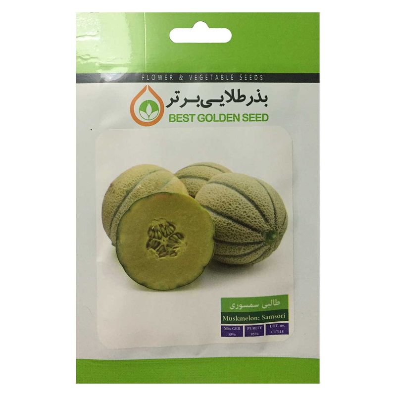 بذر طالبی سمسوری بذر طلایی برتر کد bzt 59