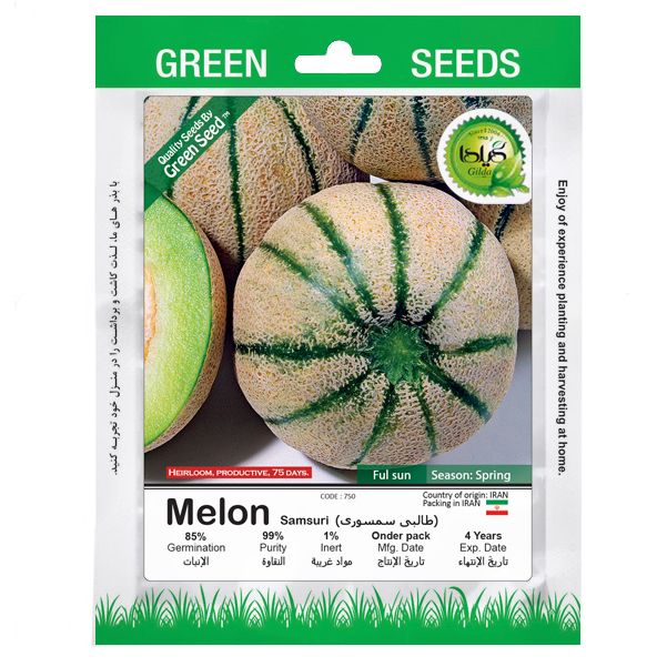 بذر طالبی سمسوری گیلدا کد 750