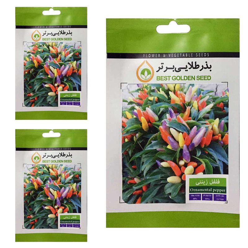 بذر فلفل زینتی بذر طلایی برتر کد btb 63 مجموعه 3 عددی