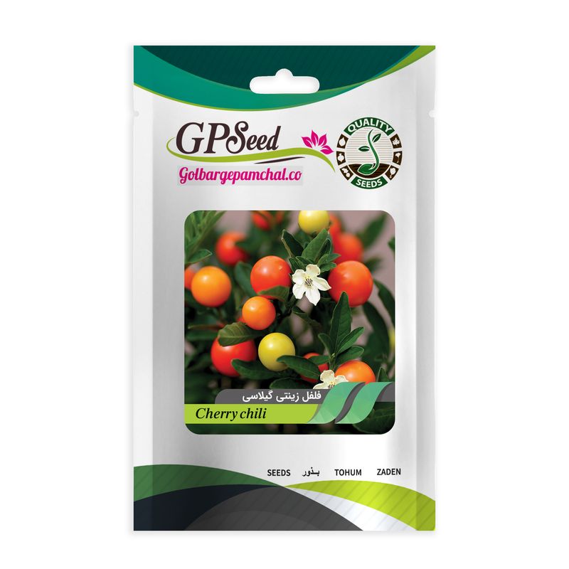 بذر فلفل گیلاسی گلبرگ پامچال کد gpf 177