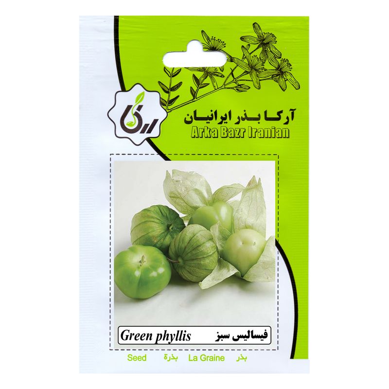 بذر فیسالیس سبز آرکا بذر ایرانیان کد 15 ark