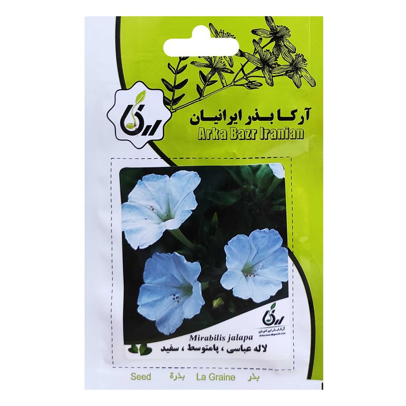 بذر لاله عباسی پامتوسط سفید آرکا بذر ایرانیان کد ark 048