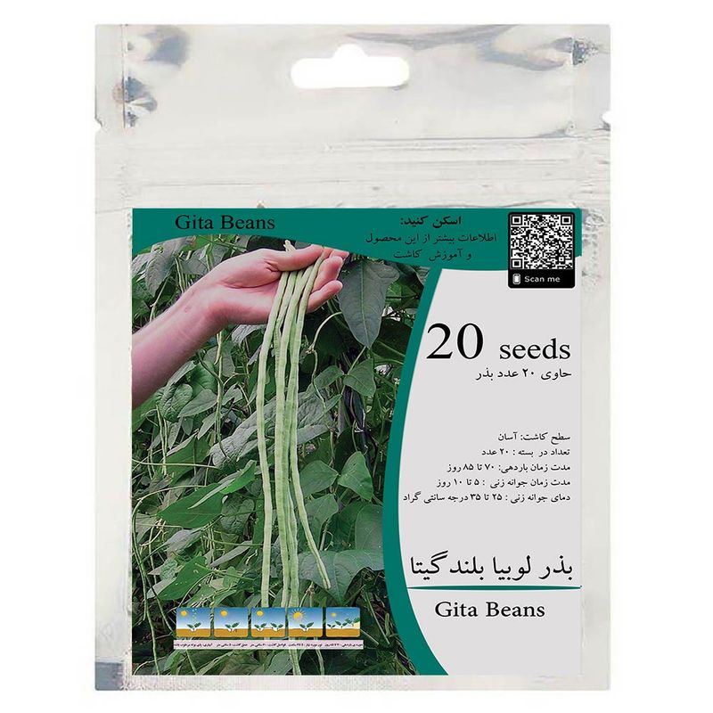بذر لوبیا سبز بلند گیتا مدل gl20