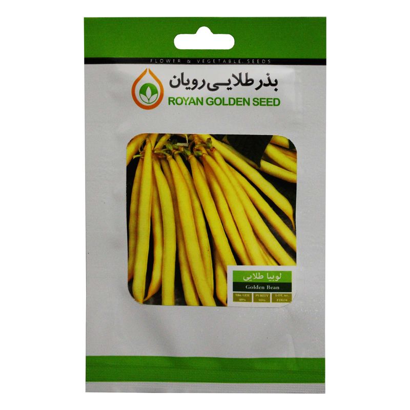 بذر لوبیا طلایی بذر طلایی رویان مدل bztr 083