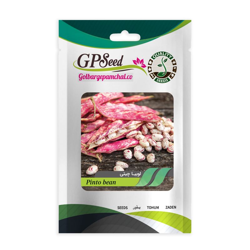 بذر لوبیا چیتی گلبرگ پامچال کد gpf 131
