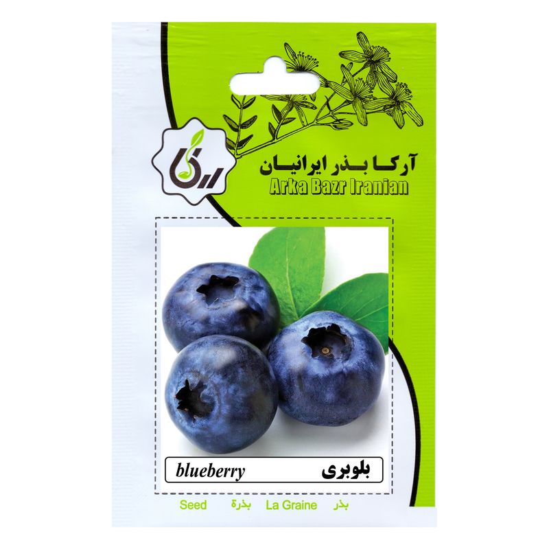 بذر میوه بلوبری آرکا بذر ایرانیان کد 34 ark