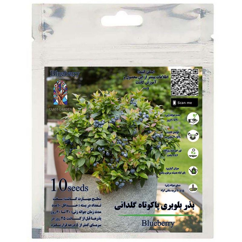 بذر میوه بلوبری پاکوتاه گلدانی گلس گاردن مدل gl10