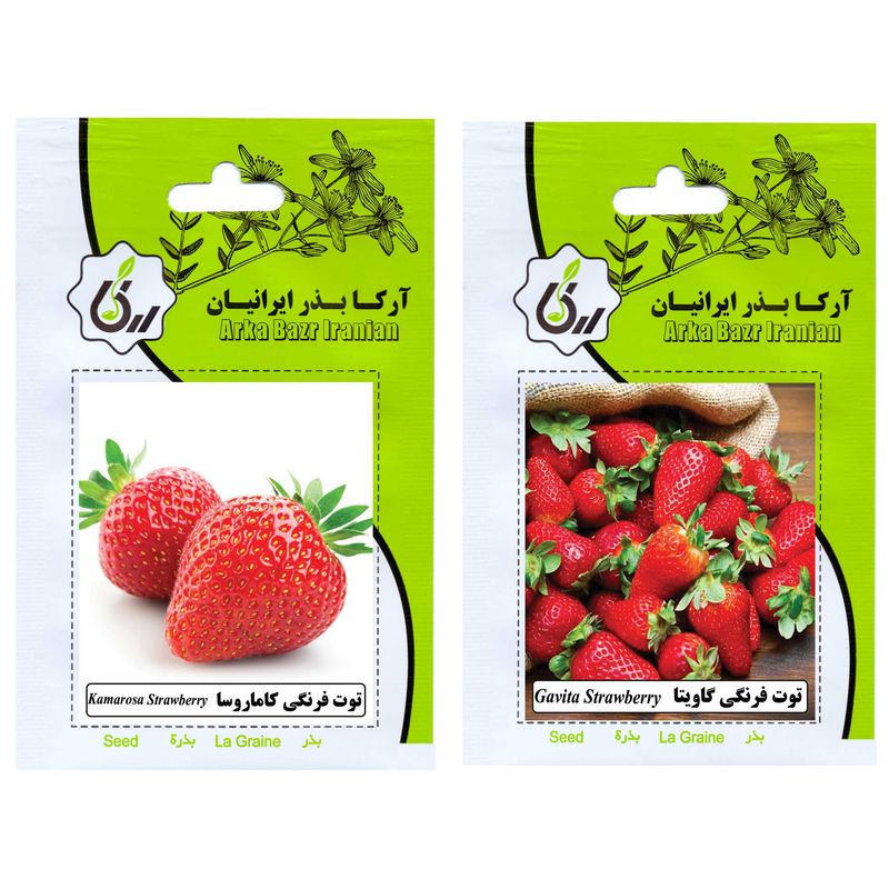 بذر میوه توت فرنگی کاماروسا و توت فرنگی گاویتا آرکا بذر ایرانیان کد ark a ark 02 وزن 20 گرم مجموعه 2 عددی