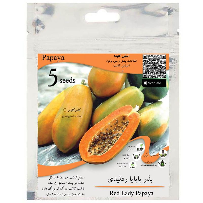 بذر میوه پاپایا خربزه درختی ردلیدی مدل gl05