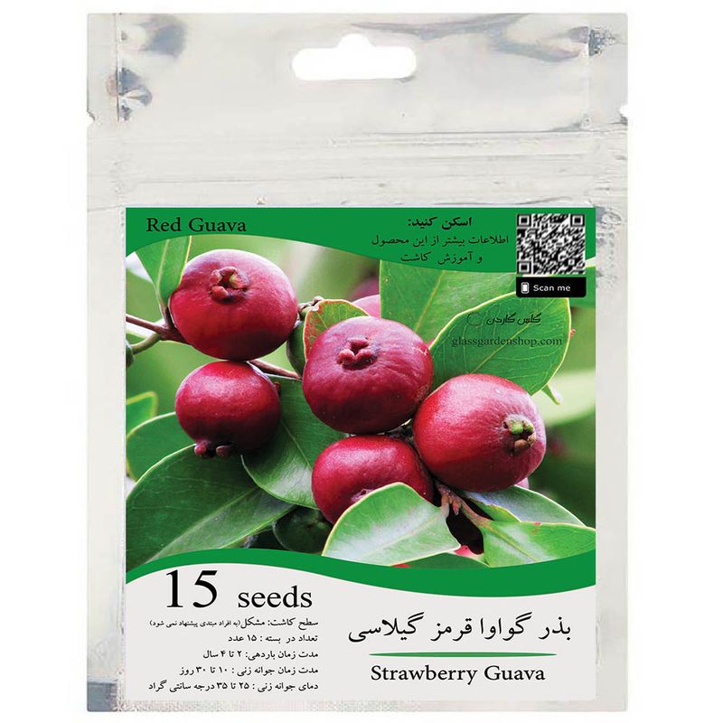 بذر میوه گواوا قرمز گیلاسی توت فرنگی مدل gl15