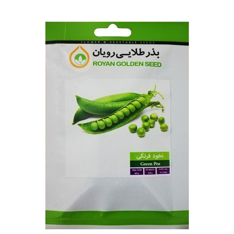 بذر نخود فرنگی بذر طلایی رویان کد bzt 113