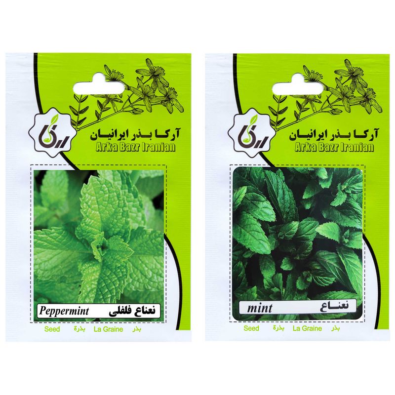 بذر نعناع و نعناع فلفلی آرکا بذر ایرانیان کد ark a ark 02 وزن 20 گرم مجموعه 2 عددی