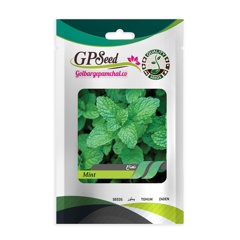 بذر نعناع گلبرگ پامچال کد gpf 329