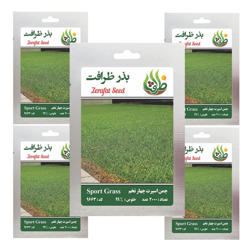 بذر چمن خارجی اسپرت چهار تخم ظرافت مدل bz9663 مجموعه 5 عددی