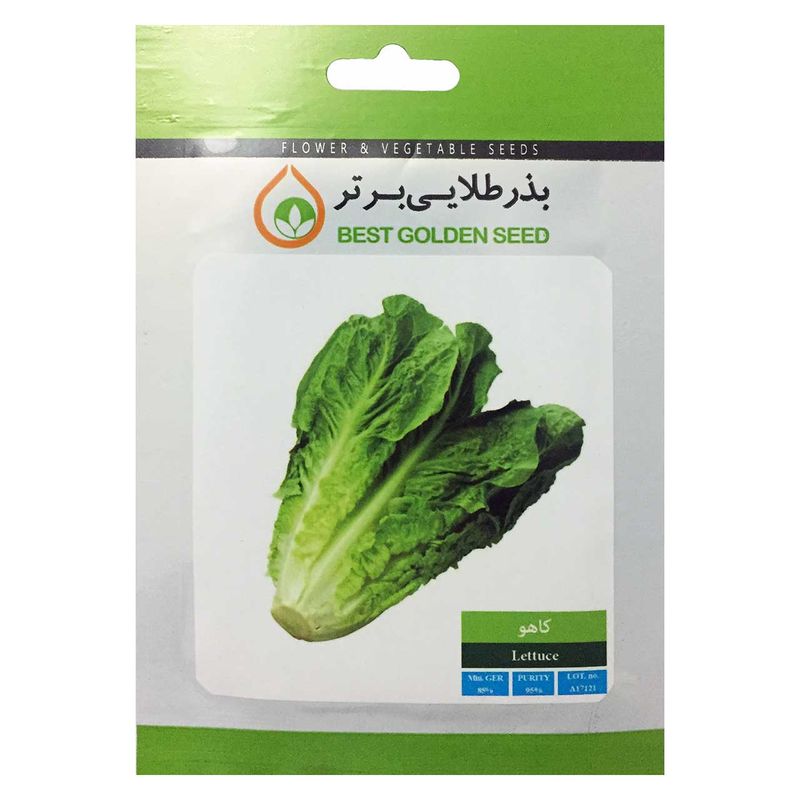 بذر کاهو بذر طلایی برتر کد bzt 72
