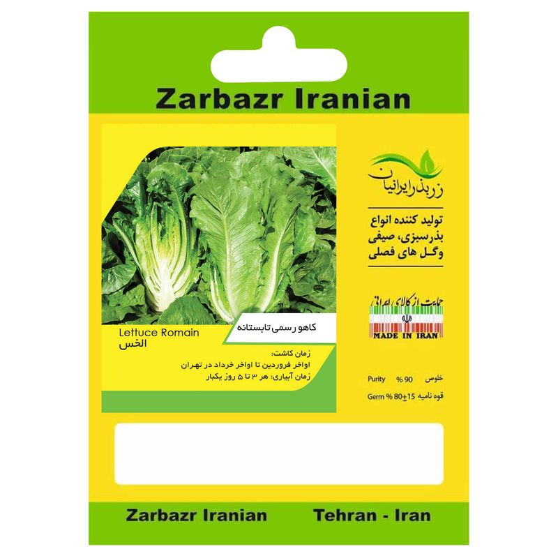 بذر کاهو رسمی تابستانه زربذر ایرانیان کد zbp 41
