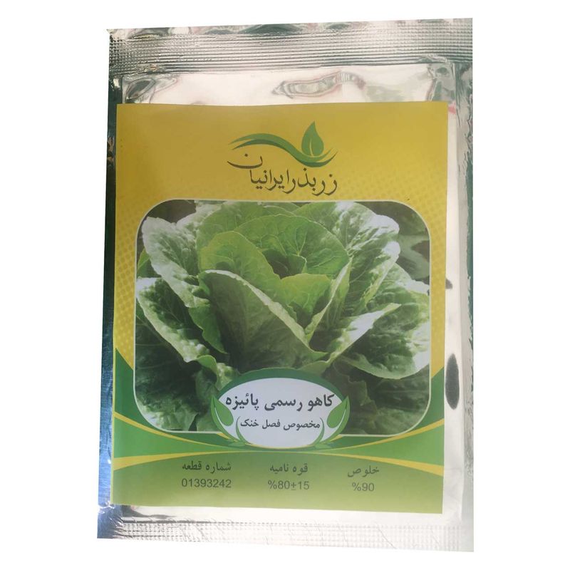بذر کاهو رسمی پائیزه زر بذر ایرانیان مدل p31