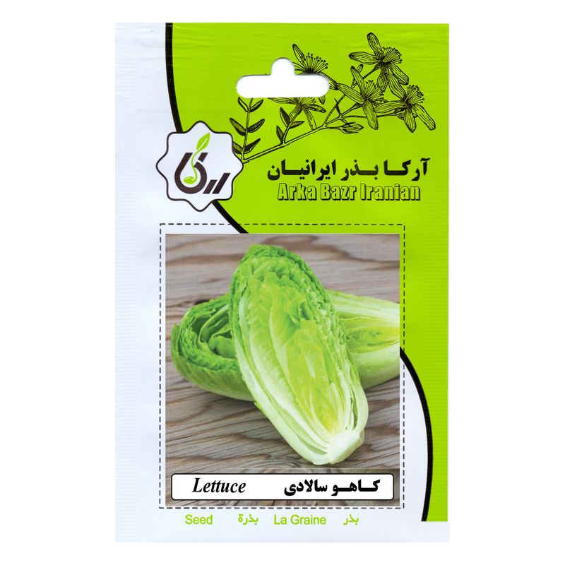 بذر کاهو سالادی آرکا بذر ایرانیان کد ark 193