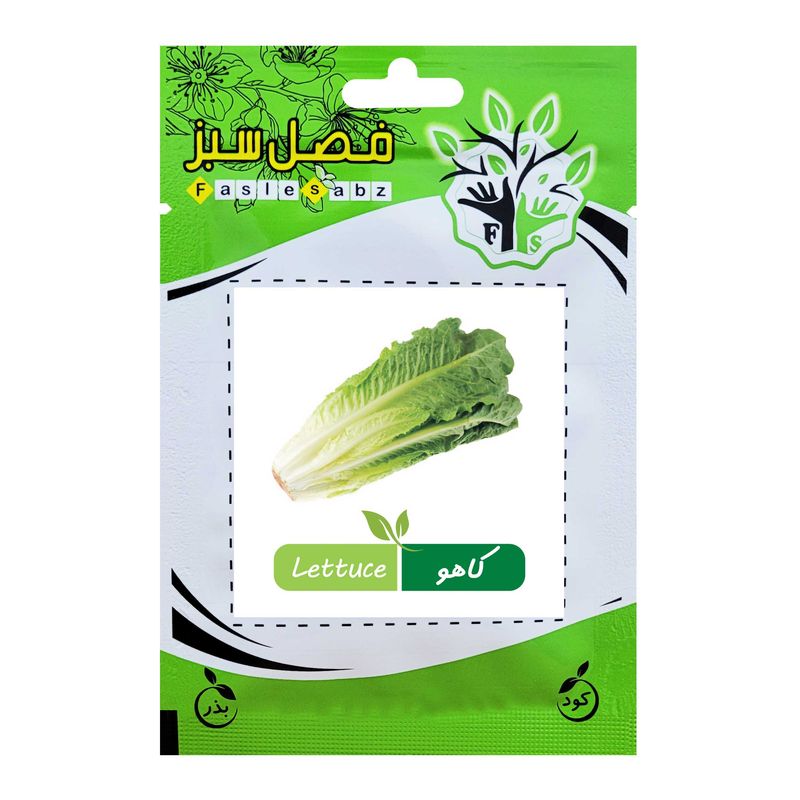 بذر کاهو فصل سبز کد seed 016