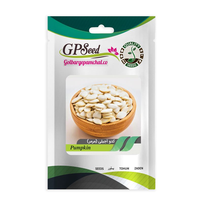 بذر کدو آجیلی مرمری گلبرگ پامچال کد gpf 223