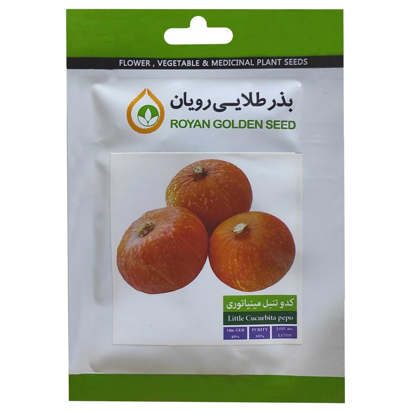 بذر کدو تنبل مینیاتوری بذر طلایی رویان کد bzt 147