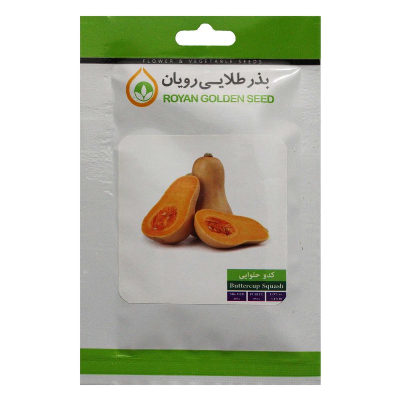 بذر کدو حلوایی بذر طلایی رویان مدل bztr 069