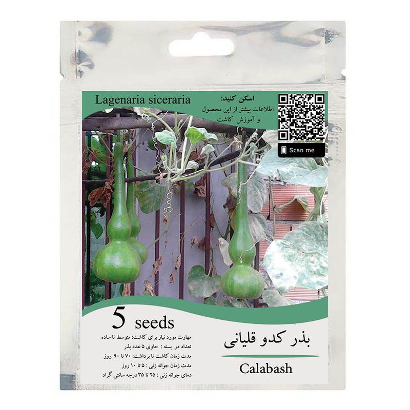 بذر کدو قلیانی مدل gl5