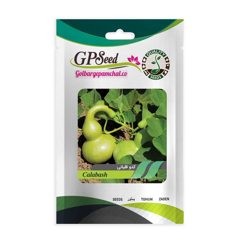 بذر کدو قلیانی گلبرگ پامچال کد gpf 307