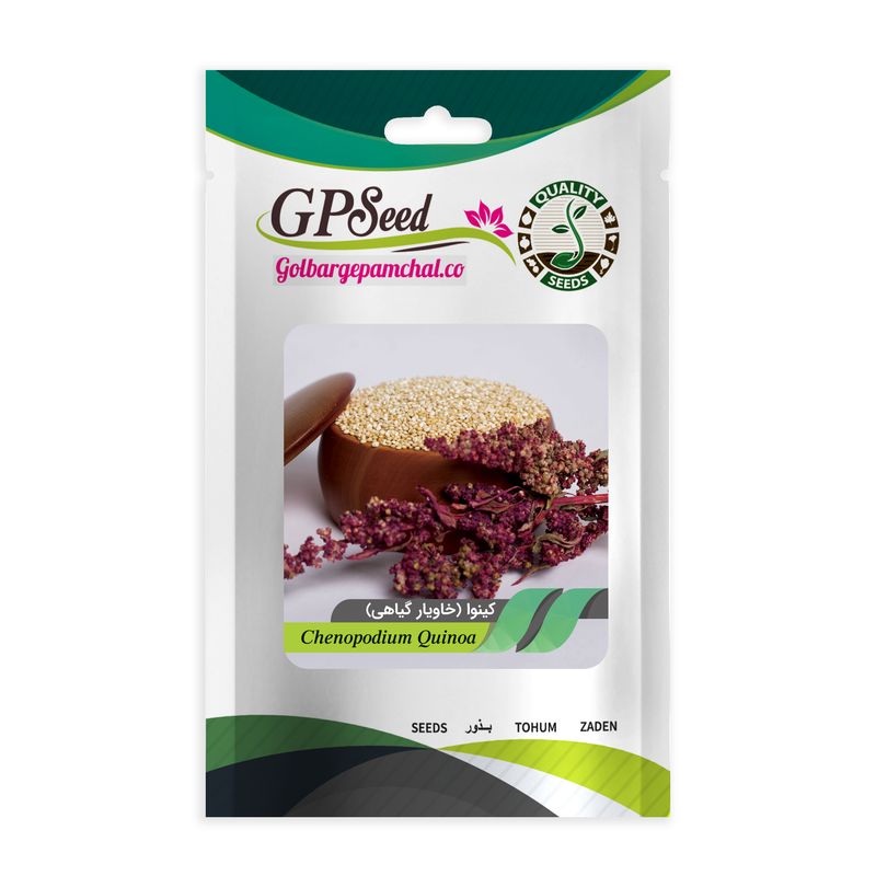 بذر کینوا خاویار گیاهی گلبرگ پامچال کد gpf 214