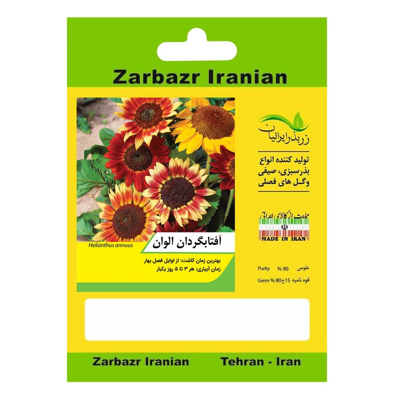 بذر گل آفتابگردان الوان زربذر ایرانیان کد zbp 62