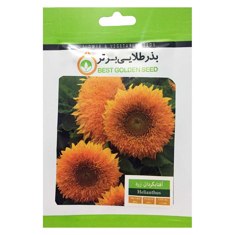 بذر گل آفتابگردان زرد بذر طلایی برتر کد bzt 01