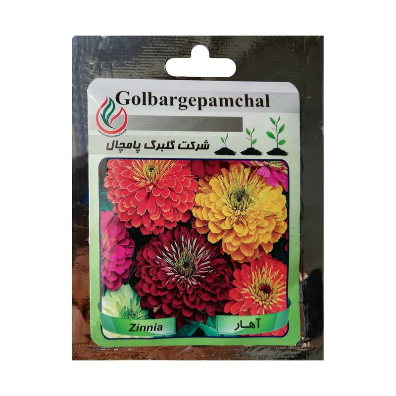 بذر گل آهار گلبرگ پامچال مدل gp04