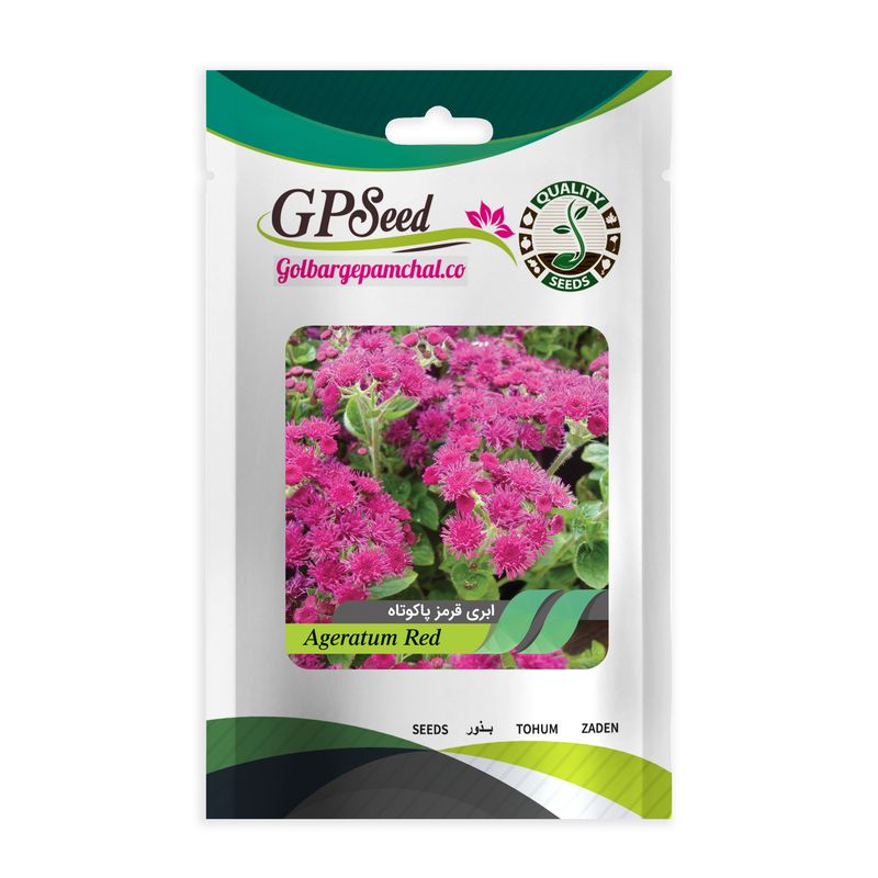 بذر گل ابری قرمز پاکوتاه گلدانی گلبرگ پامچال کد gpf 291