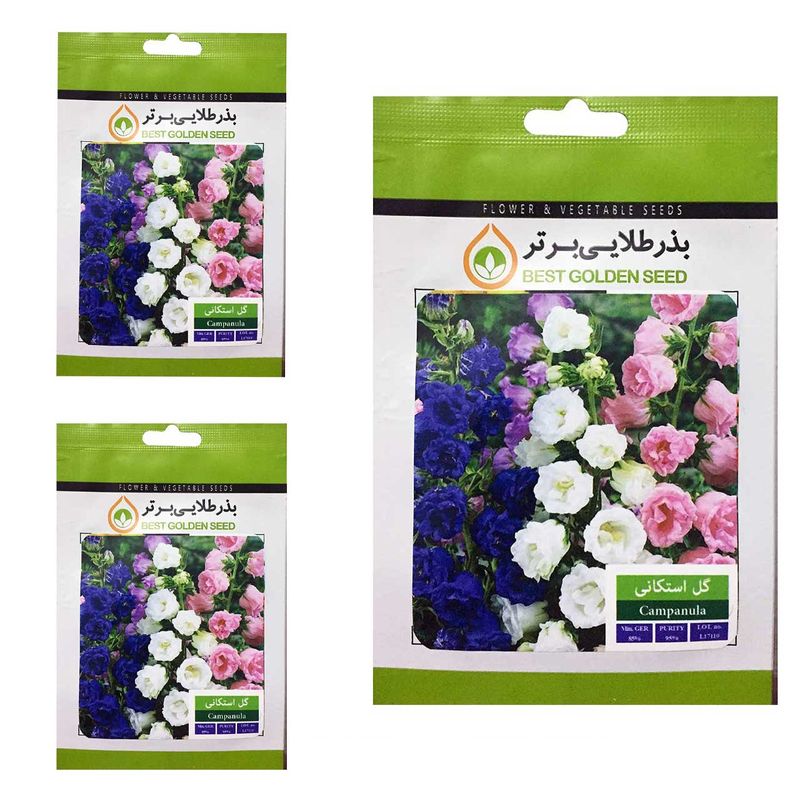 بذر گل استکانی بذر طلایی برتر کد btb 05 مجموعه 3 عددی