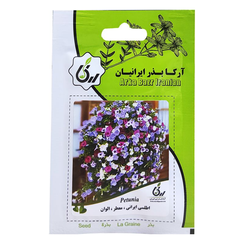 بذر گل اطلسی ایرانی معطر الوان آرکا بذر ایرانیان کد ark 103